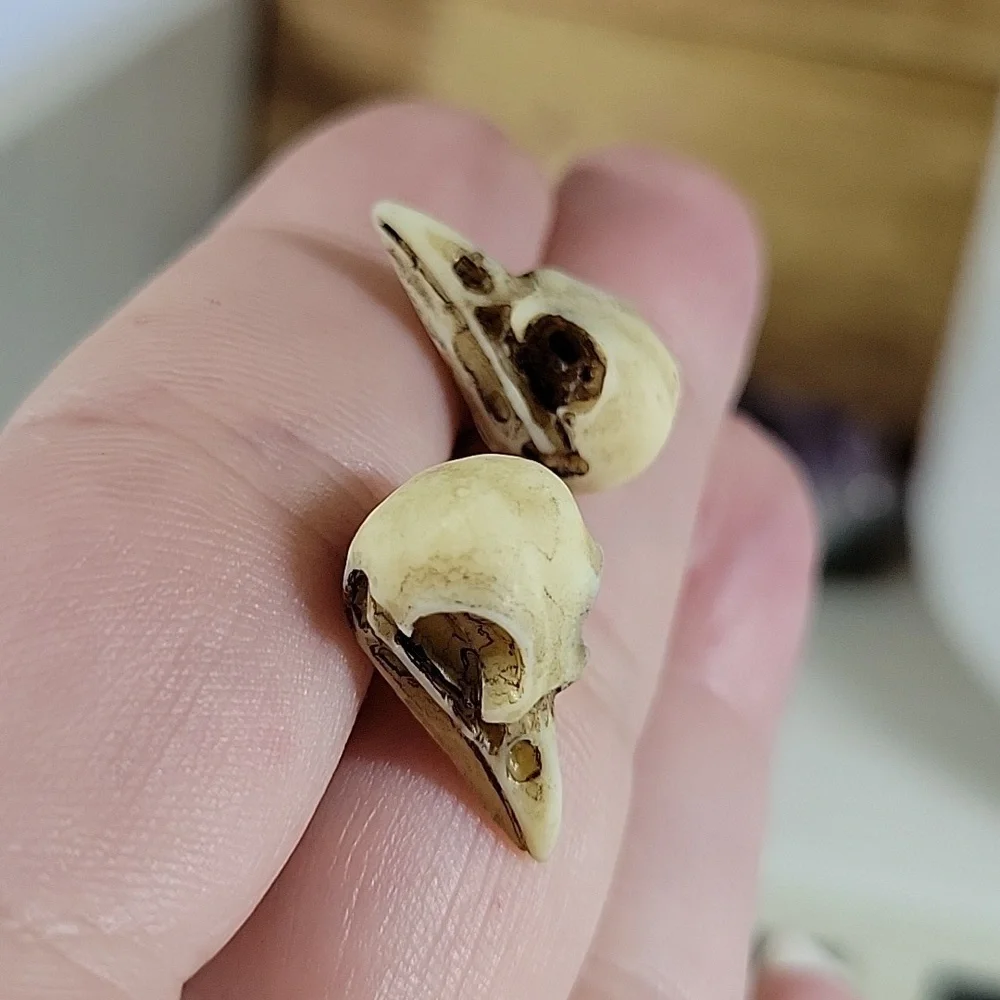 🔥LAST PAIR🔥 Realistic Poe Macabre Bird Skull Stud Earrings